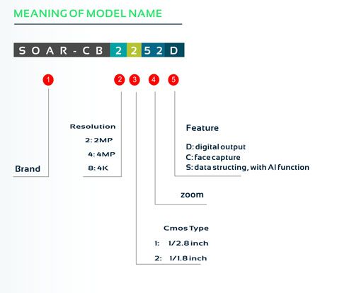 zoom-module-introduction zoom-module-introduction